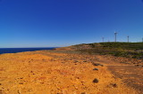 Petrified Forest