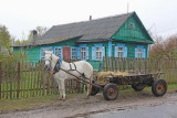 Horse-drawn carriage konjska vprega_IMG_4064-111.jpg