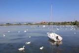 Lake Ptuj Ptujsko jezero_IMG_6979-111.jpg