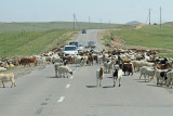 On the road na cesti_MG_5122-111.jpg