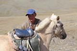 Horseman jezdec_IMG_1403111.jpg