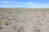 Desert puščava_IMG_1252-111.jpg