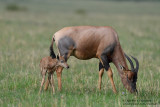 Day 2: Newborn Topi With Mom