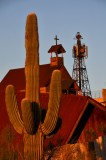 saguaro