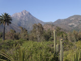 Cerro La Campana 
