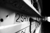 2SHY