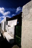 Tenesar