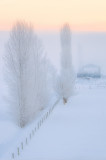 Sunrise Frost and Fog