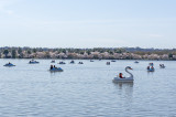 Boating on the Tidal Basin