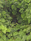 Waterfall, Iriomote Island