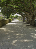 Sand road, Taketomi Island