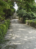 Another quiet road, Taketomi Island