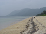 Hoshizuna Beach, Iriomote Island