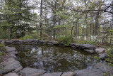 The pond at Lee Garden