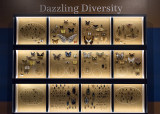 Objects of Wonder: Dazzling Diversity