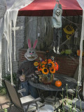 Halloween bunny having a drink