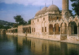 Rizvaniye Mosque and Abrahams Pool
