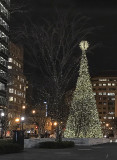 Christmas in downtown DC