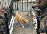 Sahraa and the balloon booties