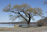 River view