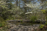 Lee Garden