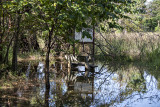 Aquatic gardens under water