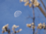Moon over Capitol Hill