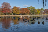 Fall on the Mall