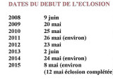 36- Dates du dbut de lclosion