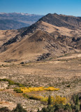 A splash of color on the valley floor