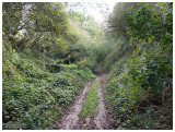 chemin creux  