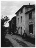 La Basse Court