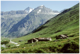 le Manchet