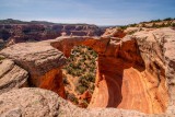   Rattlesnake Canyon 