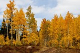  Grand Mesa 