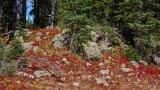  Grand Mesa 