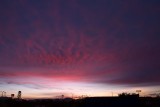  Yuma 
