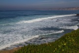  La Jolla 