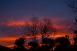 Sunrise, Alpine 