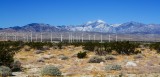  Coachella Valley 