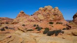 Cottonwood Cove