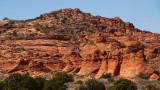 Cottonwood Cove