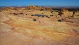 Cottonwood Cove