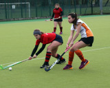 Menna Chase