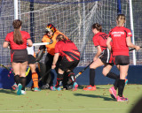 Dona Goal