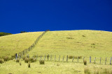 Perpendicular Fences