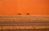 NAMIBIA SCAPES