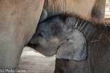 Mother and infant