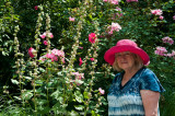 Amongst the hollyhocks, Sion