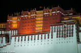 Potala Palace by night